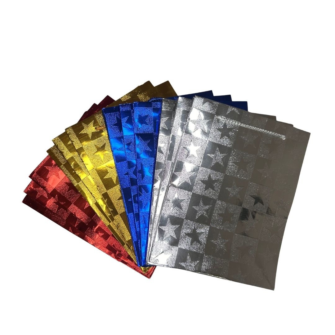 Bolsas de regalo Estrellas Brillantes pack x 12