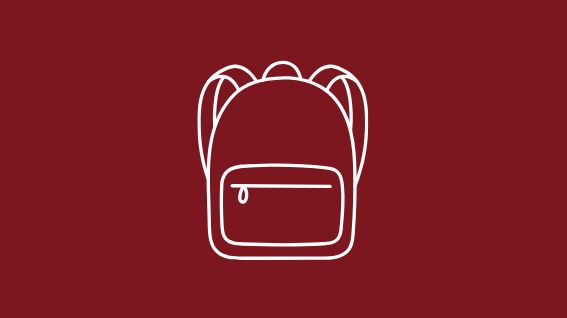 Bolsos y Morrales